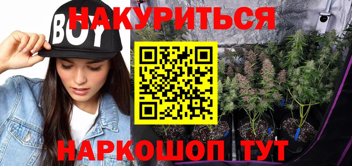 Шелехов  Бошки Шишки ГИДРОПОН  Вход с VPN  Марихуана ГИДРОПОН 